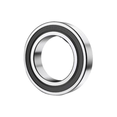 6000 Series Bearings