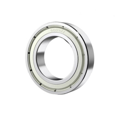 6000 Series Bearings
