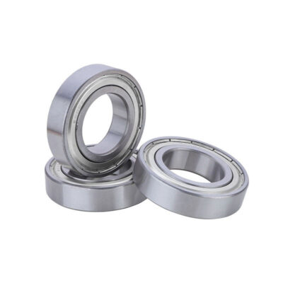 6000 Series Bearings