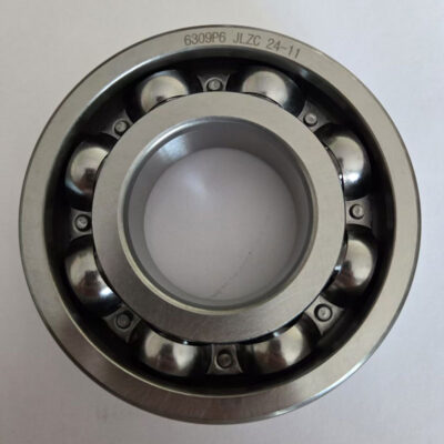 6300 Series Bearings